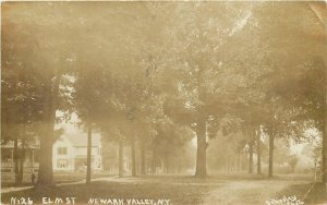 Postcard RPPC 1908 New York Newark Valley Elm Street #26 23-13891