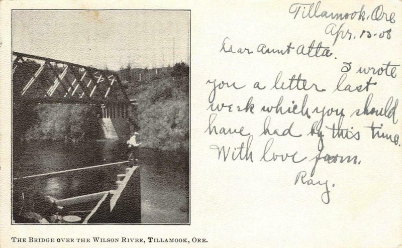 Bridge Over The Wilson River, Tillamook, Oregon 1908 Vintage Postcard Antique 