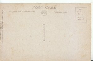 Norfolk Postcard - The Castle Hill - Thetford - Ref TZ214