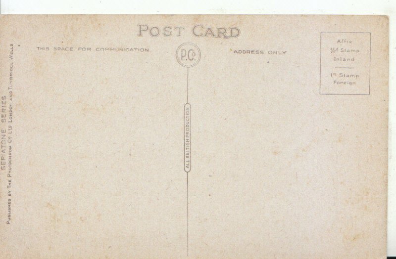 Norfolk Postcard - The Castle Hill - Thetford - Ref TZ214