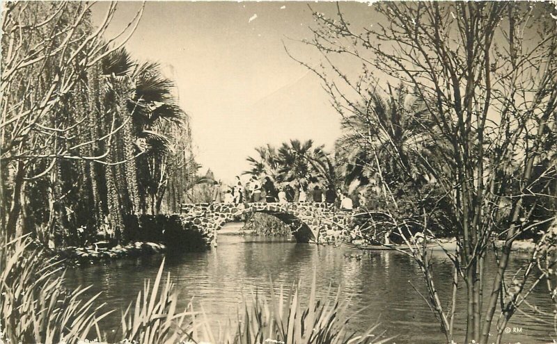 Postcard RPPC Arizona Phoenix Encanto Park Garden Paradise 1940s  Markow 23-1059