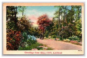 Generic Scenic Greetings Country Road Hill City Kansas KS LInen Postcard Z10