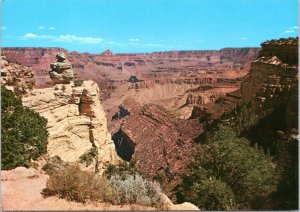 Postcard AZ - Grand Canyon -  Duck on the Rock