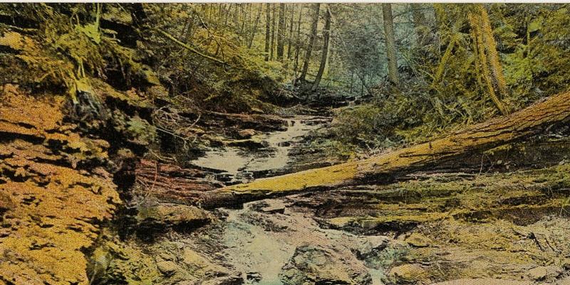 1907-15 Binghamton NY Ravine Near Broome Co. New York RARE Antique DB Postcard