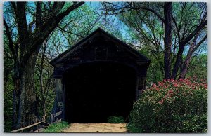 Vtg Perkinsville Vermont VT Old Covered Bridge Windsor County 1960s Postcard