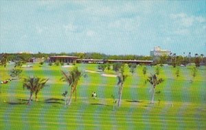 Florida Hollywood Diplomat Resort & Country Club Showing Golf Course