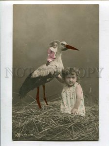 3120625 Charming Girl w/ STOTK in NEST w/ DOLL vintage PHOTO PC