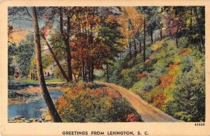 Lexington South Carolina Greetings Scenic View Vintage Postcard JE359350