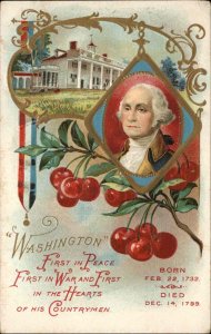 George Washington Patriotic White House Embossed c1910s Postcard