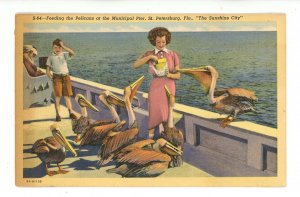 FL - St. Petersburg. Municipal Pier, Feeding Pelicans ca 1938