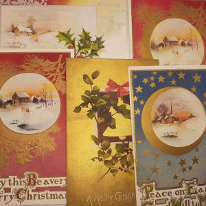Christmas Post Card Lot of 22 - Birds, Holly, Poinsettia all unposted