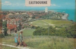 Eastbourne Sussex Walking A Dog View From Downs 1970s Fashion Postcard