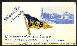 WOMAN'S COLLEGE BALTIMORE MARYLAND SCHOOL FLAG SILK NOVELTY POSTCARD 1907