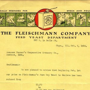 1924 Chicago Fleischmann Feed Yeast Letterhead Antique Letter to Anamosa Iowa R1 