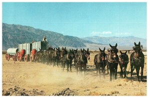 Scenic Twenty Mule Team Postcard Old Vintage Card Souvenir Postcard