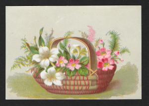 VICTORIAN TRADE CARDS (9) Butler Flower Baskets & Leaves