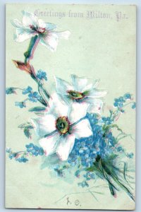 1910 Milton Pennsylvania PA Vintage Postcard Greetings Flowers Embossed Unposted