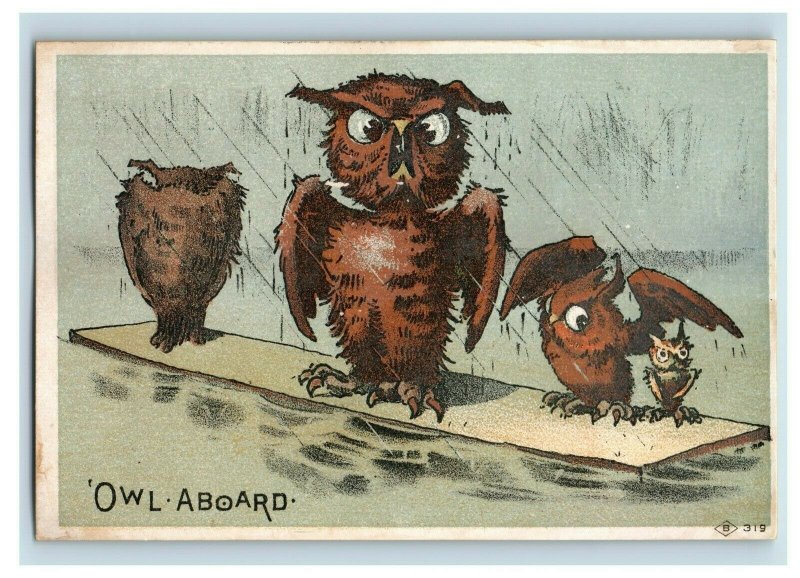 1880's Owl Owls F.C. Lord Castilian Cream Paint Remover Set Of 3 Trade Cards P96