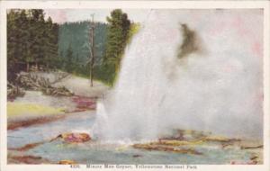 Minute Man Geyser Yellowstone National Park