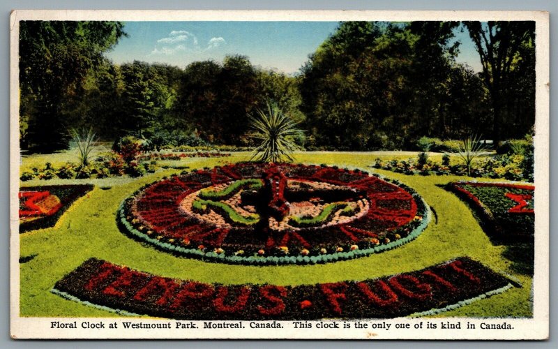 Postcard Montreal Quebec c1926 Floral Clock at Westmount Park Tempus Fugit A