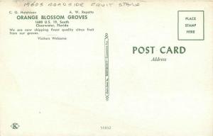 Autos 1960s Orange Blossom Groves Clearwater Florida Postcard Beckett 3685