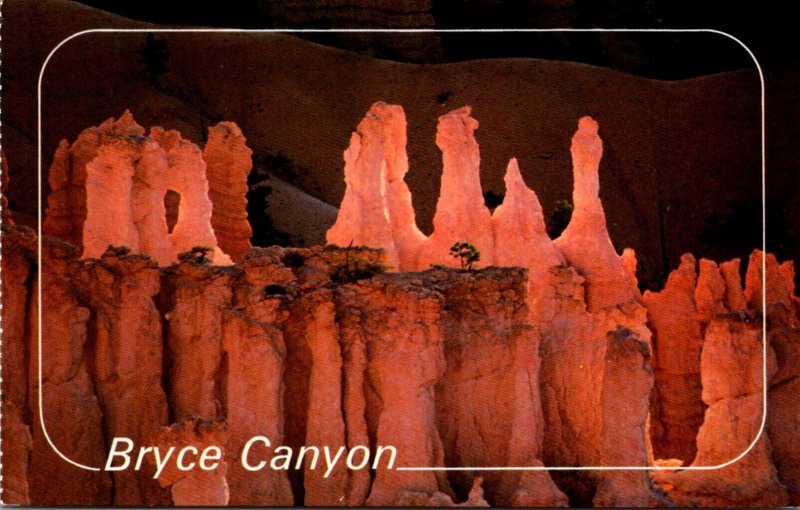 Utah Bryce Canyon National Park Hoodoos