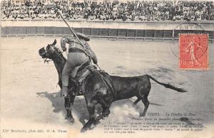 BF39378 nimes france corrida  bull taureau  animal animaux