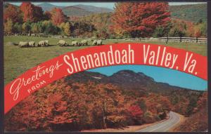 Greetings From Shenandoah Valley,VA Postcard