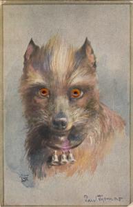 Dog moving glass eyes novelty postcard artist signed Paul Thomas