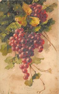 BG33521 grapes fruits   catharina klein niceartist signed postcard