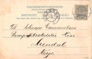 Aalborg Denmark Train Bridge Antique Postcard J53898