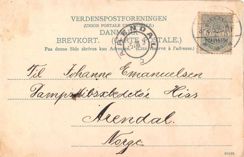 Aalborg Denmark Train Bridge Antique Postcard J53898