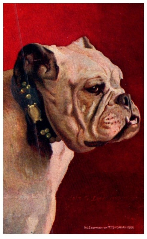 Dog , Bulldog