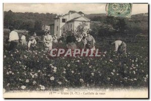 Old Postcard Grasse TOP picking roses