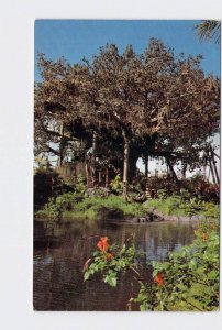 VINTAGE POSTCARD WALT DISNEY WORLD ADVENTURELAND SWISS FAMILY ISLAND TREEHOUSE #