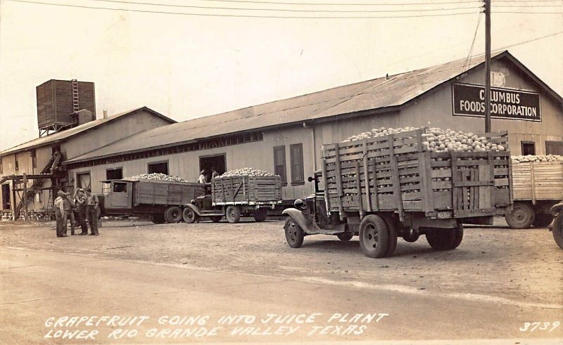 Weslaco TX Old Grapefruit Trucks RPPC Postcard