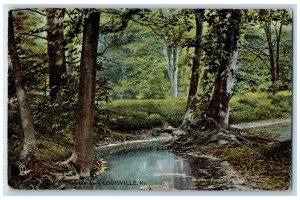 1908 A Shady Nook In Cherokee Park Louisville Kentucky KY Tuck's Postcard