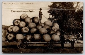 RPPC Exaggerated Apples Man Standing on Oversized Apple Wagon Postcard I25