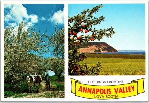 VINTAGE CONTINENTAL SIZE POSTCARD (2) VIEWS OF THE ANNAPOLIS VALLEY NOVA SCOTIA