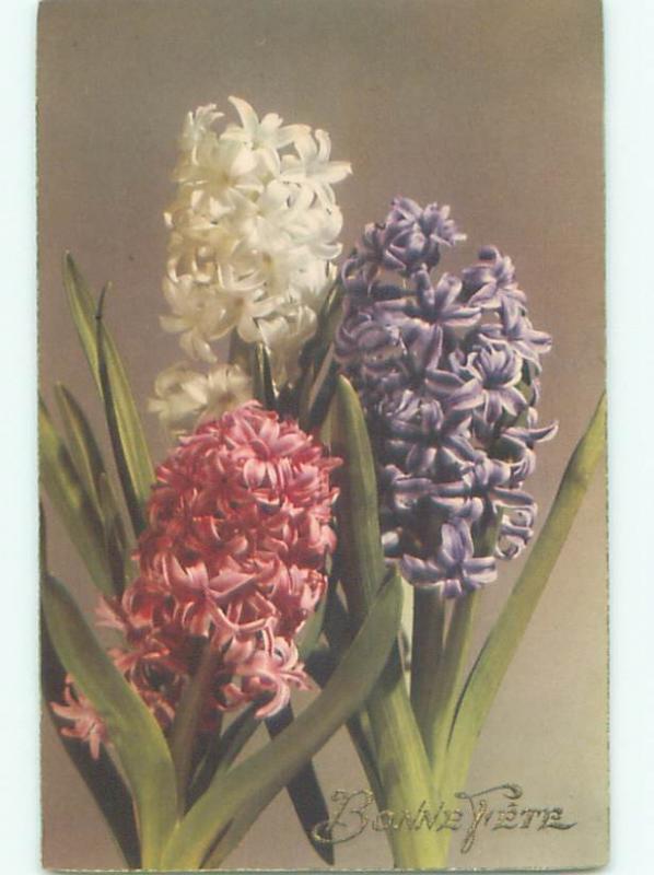 Very Old Foreign Postcard BEAUTIFUL FLOWERS SCENE AA4464