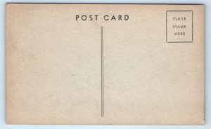 CHICAGO, IL ~ Riverview Amusement Park MINIATURE RAILROAD TRAIN c1940s Postcard