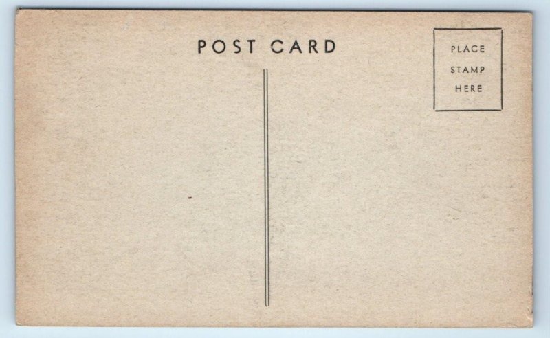 CHICAGO, IL ~ Riverview Amusement Park MINIATURE RAILROAD TRAIN c1940s Postcard