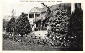 Vintage Postcard Bronze Elk Elks  National Home Bedford Virginia E. C. Kropp Co.