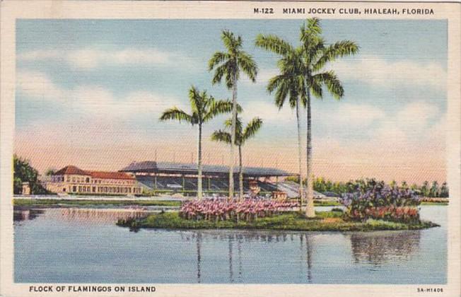 Florida Hialeah Flock Of Flamingos MIami Jockey Club 1936 Curteich