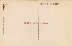 2 Postcards, Amherst, Massachusetts, Various Scenes