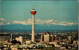 Postcard BUILDING SCENE Calgary Alberta AB AO6126