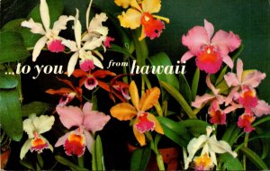 Hawaii Orchids To You 1974