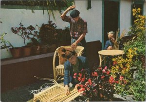 Portugal Postcard - Furniture and Wicker Work, Madeira, Camacha  RR23290