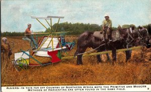 International Harvester, Working Fields in Algiers Vintage Postcard K49