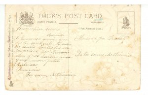 Greeting - New Year    1908   (Tuck Series 114)